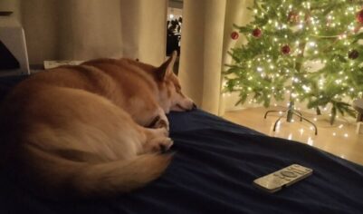 Гороскоп для всех знаков зодиака на 10 февраля 2026 года